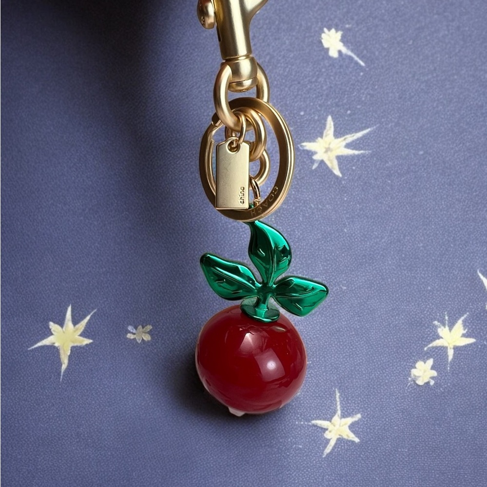 🧀Coach Red and Green Keychain - Picture 9 of 9
